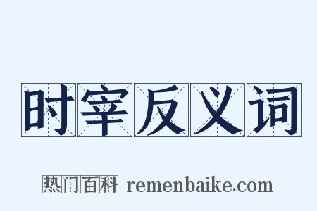 时宰反义词是什么意思的图片